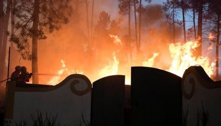Portugal poblacion acabar oleada incendios EDIIMA20170821 0144 4