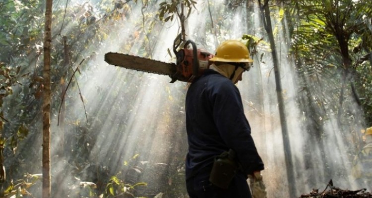 brasil reporta reduccion considerable del incendio en la amazonia