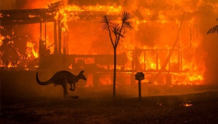 incendios en australia cambio climatico 227851 1